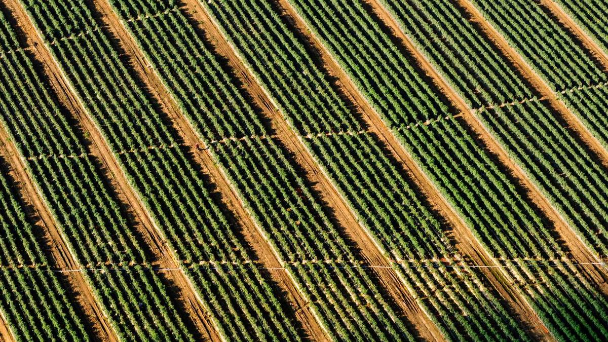 2025年吉林省直事业单位招聘时间表 - 吉林省省直事业单位招聘公告