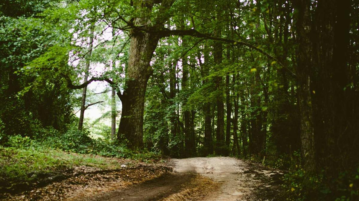 上海浦东新区中心村大道有外卖嘛 - 上海外卖工作室2020