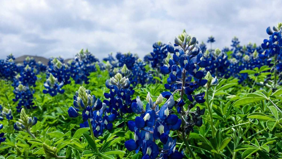 2020年滨州公务员考试在哪报名? - 滨州灯塔