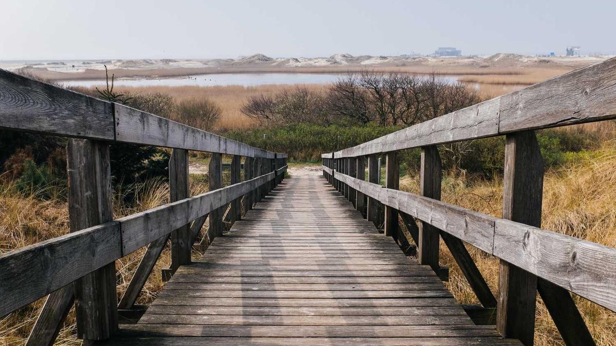 佛山 什么时候买医保 - 佛山居民医保申报即将开始