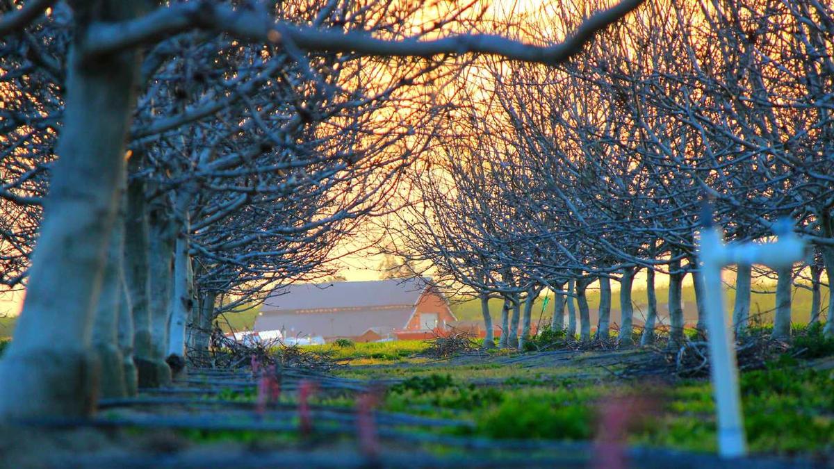 郑州用什么软件乘车优惠最大 - 郑州1分钱乘公交福利来了