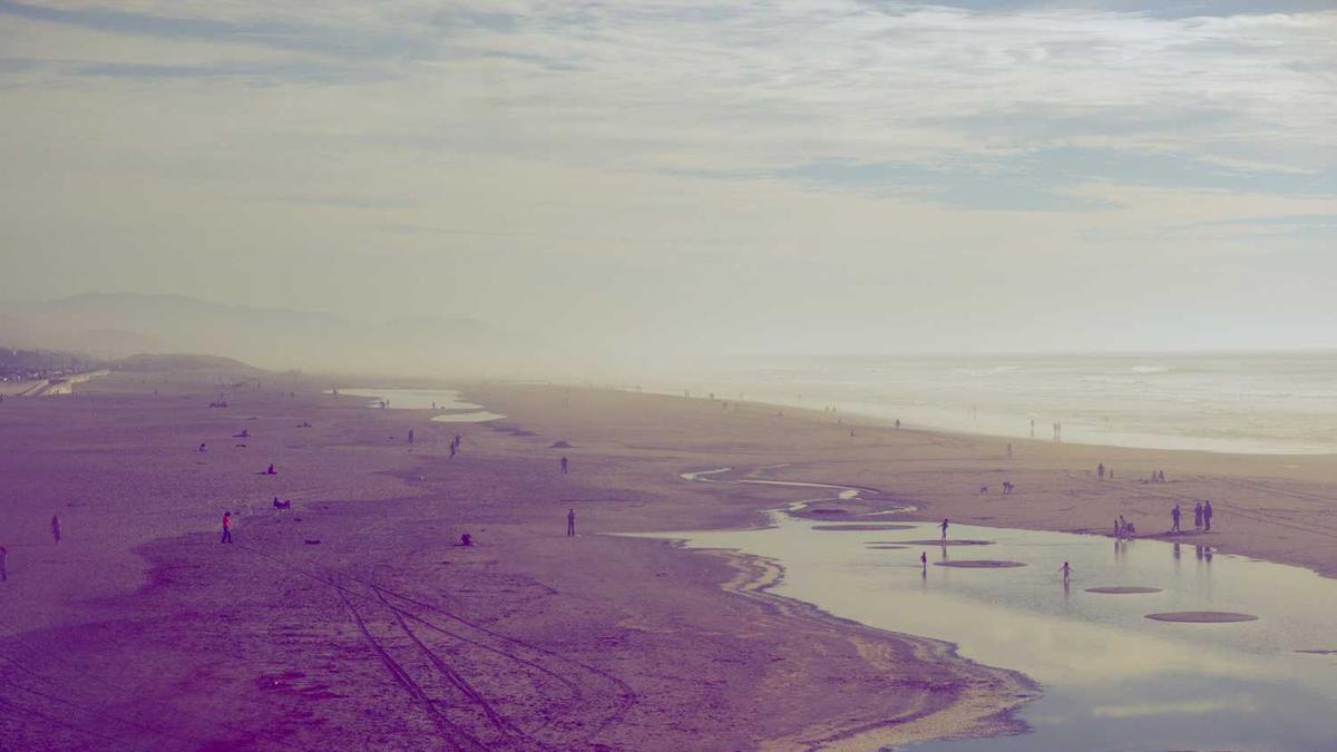 34届中国厨师节嘉宾名单 - 苏州唐晓东