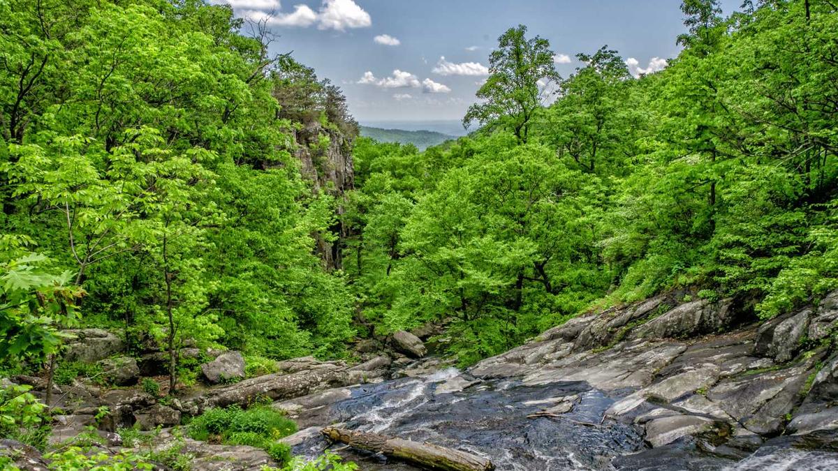 济宁职业技术学院到底怎么样 - 济宁职业技术学院