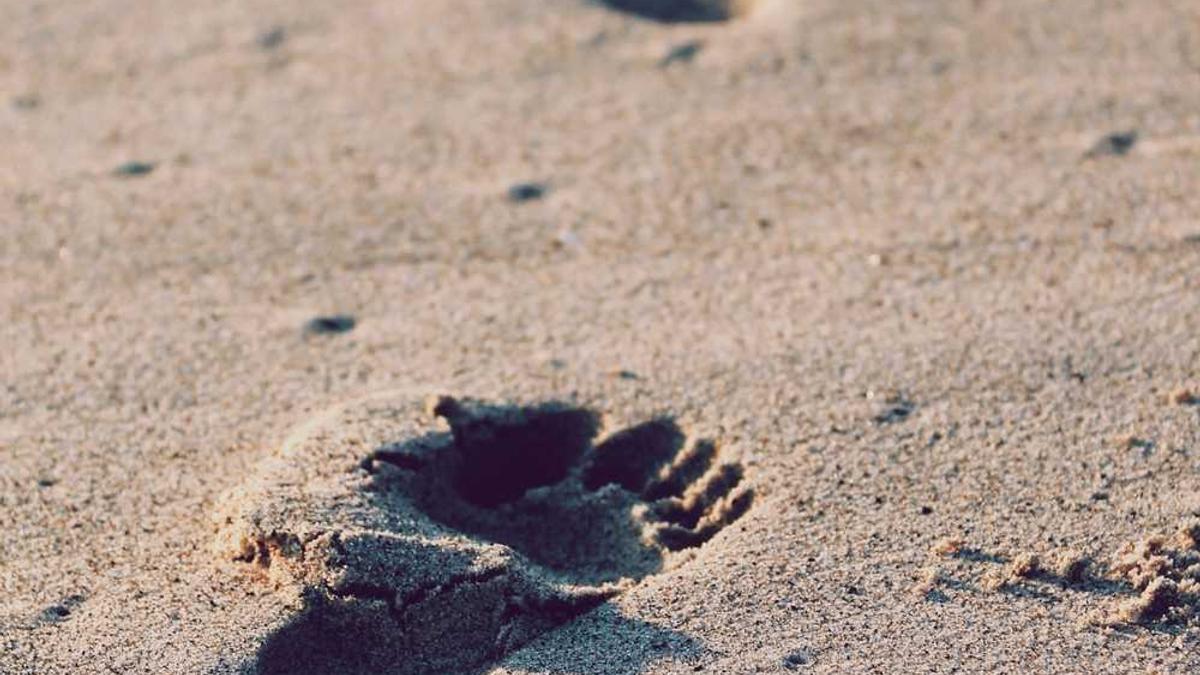 河北廊坊区号12315怎么打 - 廊坊区号