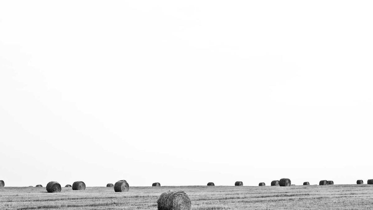 客观评价九江学院 - 九江学院