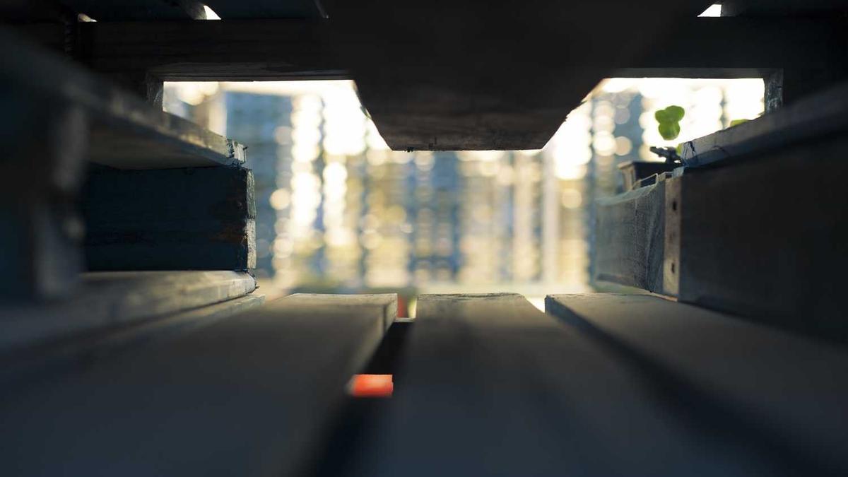 2026考研什么时候预报名 - 日照市2026年考研预报名启动