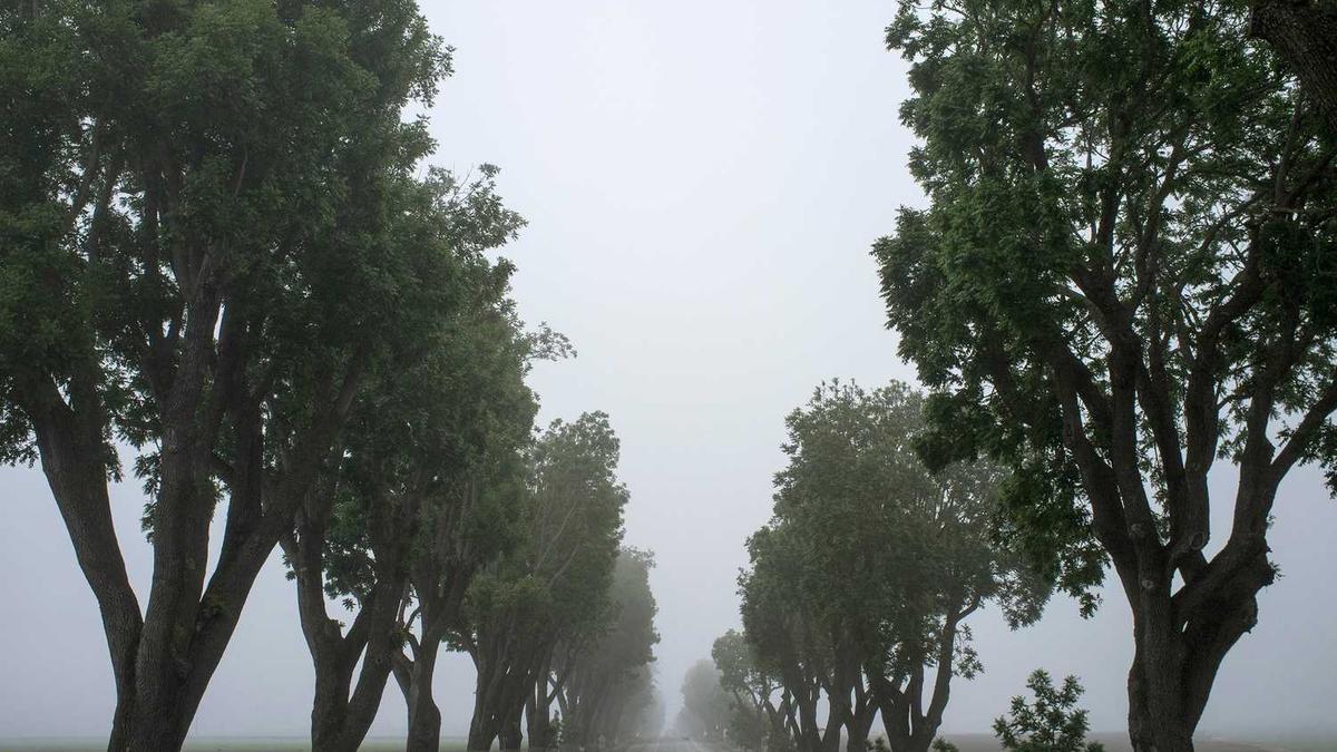 宣城市属于哪个市 - 宣城市