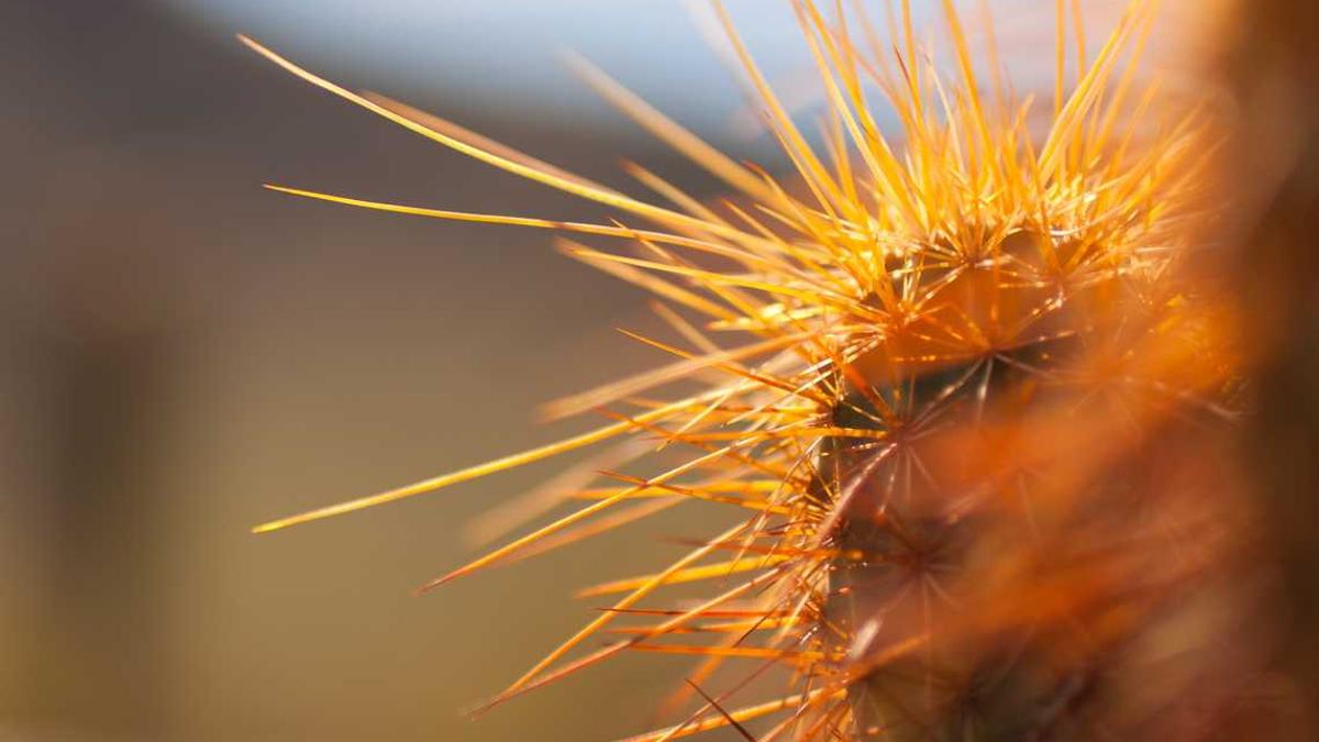 安阳市是哪个省的城市 - 安阳市