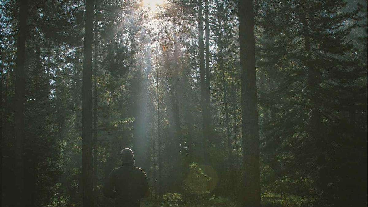 茂名下周一到周五天气会怎么样 - 茂名天气