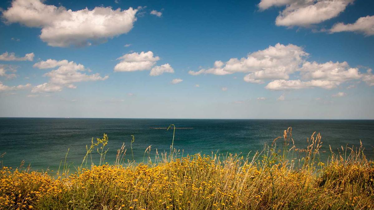 嘉兴各县市经济发展“成绩单”!GDP、人均可支配达... - 嘉兴gdp