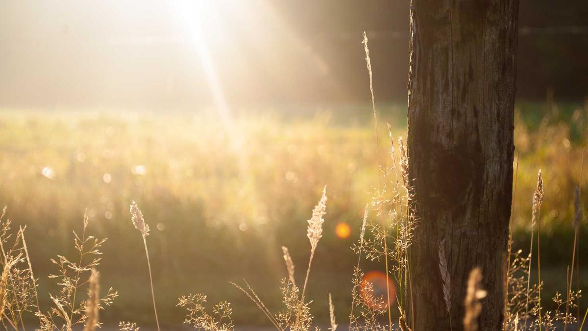 益阳市大通湖区公安分局职能职责 - 益阳119消防宣传月活动启动