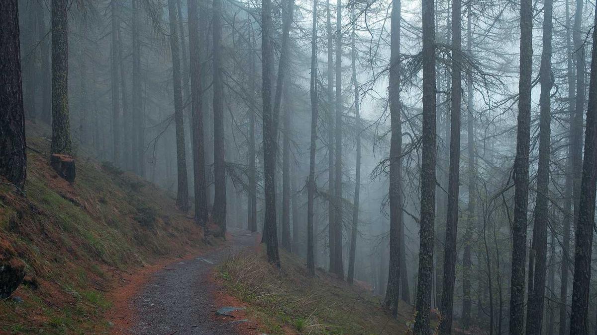 南昌大学(中外合作)是211吗 - 南昌大学中外合作办学揭牌