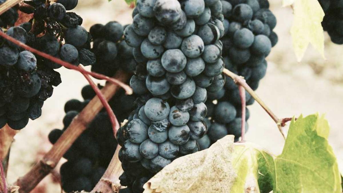 全民健身活动主持词结尾 - 乐山市沙湾区举行课堂教学竞赛