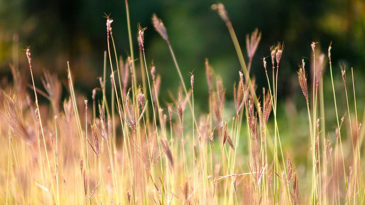双台风共舞?未来几天广东雨不停,深圳天气终于可以降下温了 - 清远即将降温