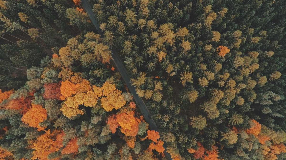 金华武义旅游景点都有哪些 - 金华旅游景点