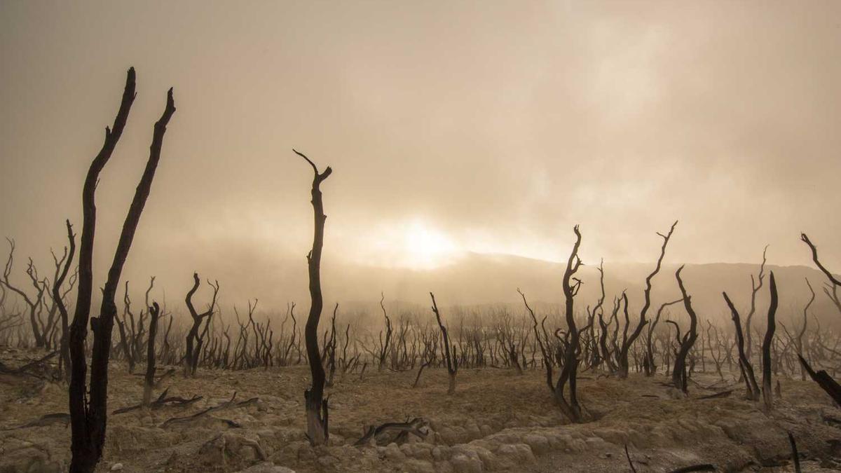 045196345显示公安局来电干嘛 - 呼和浩特警方提醒查身份证