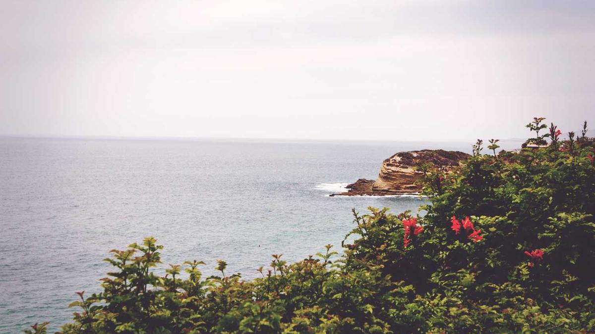 甲基六氢苯酐哪家价格低? - 东营华泰苯胺价格上调