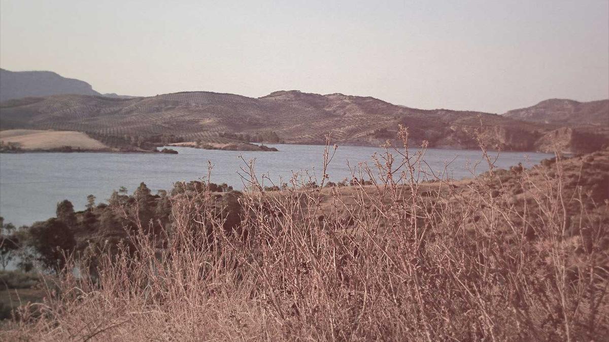 苏州特产有哪些 - 苏州特产有哪些值得带