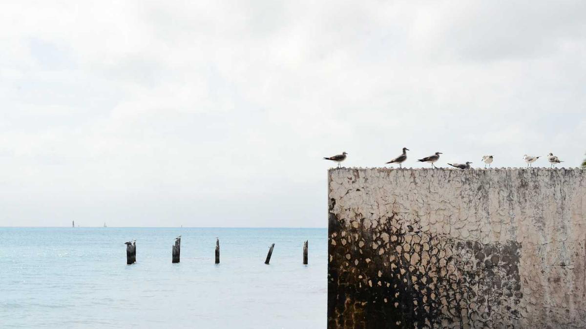 崇左,是怎样的一个城市? - 崇左宁明供电公司农网项目投产
