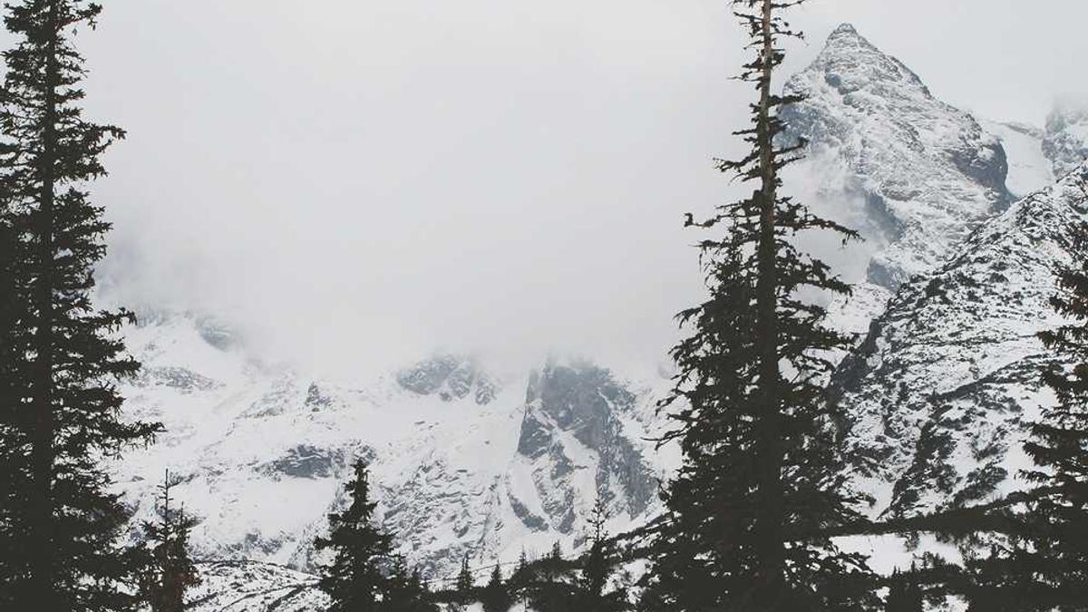 消防安全的知识演讲稿 - 上饶市消防宣传月活动启动