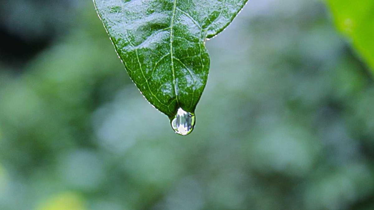 火柴人联盟周年庆还有多少 - 至尊版漫画头像