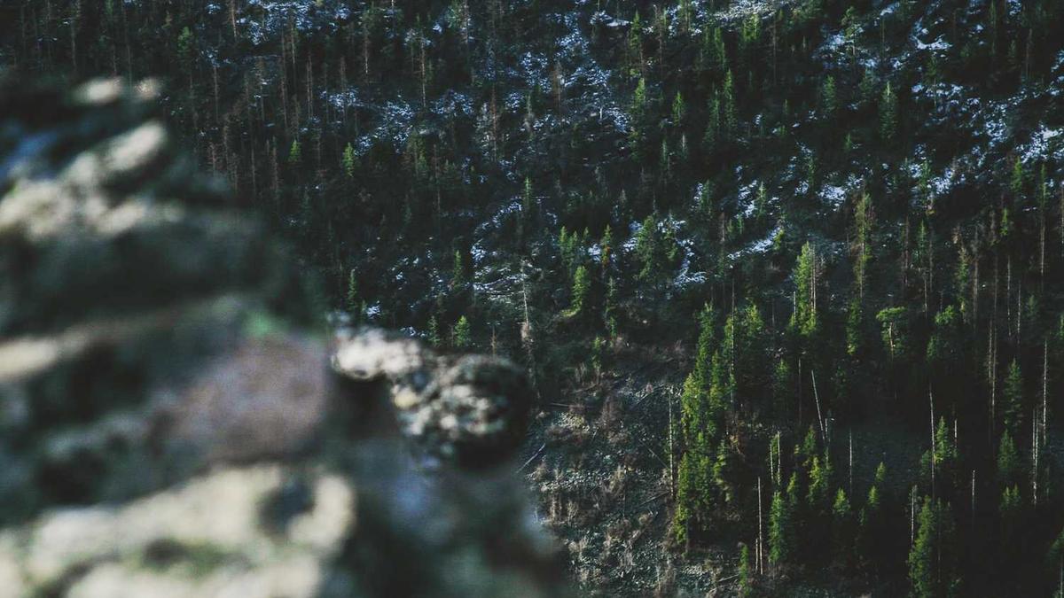 池州市人民医院行政岗编制待遇 - 池州市人民医院