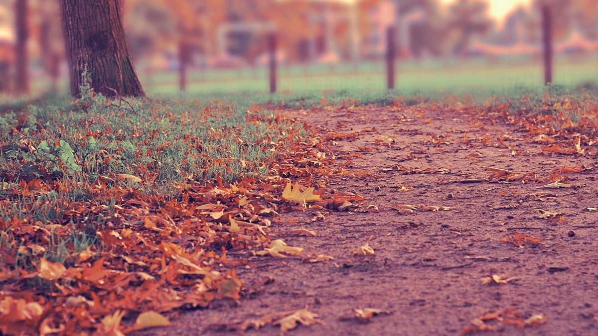 郑州外地车限行区域 - 郑州限行