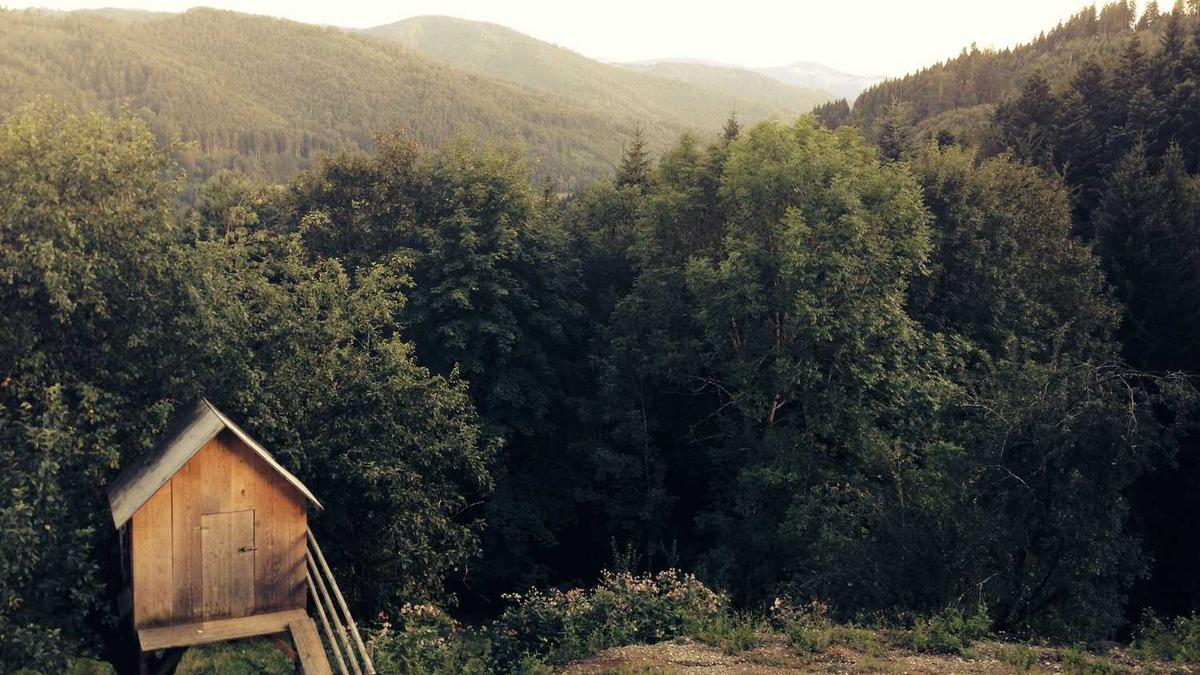 河北献血荣誉卡免费旅游景点 - 张家口47人获无偿献血奖