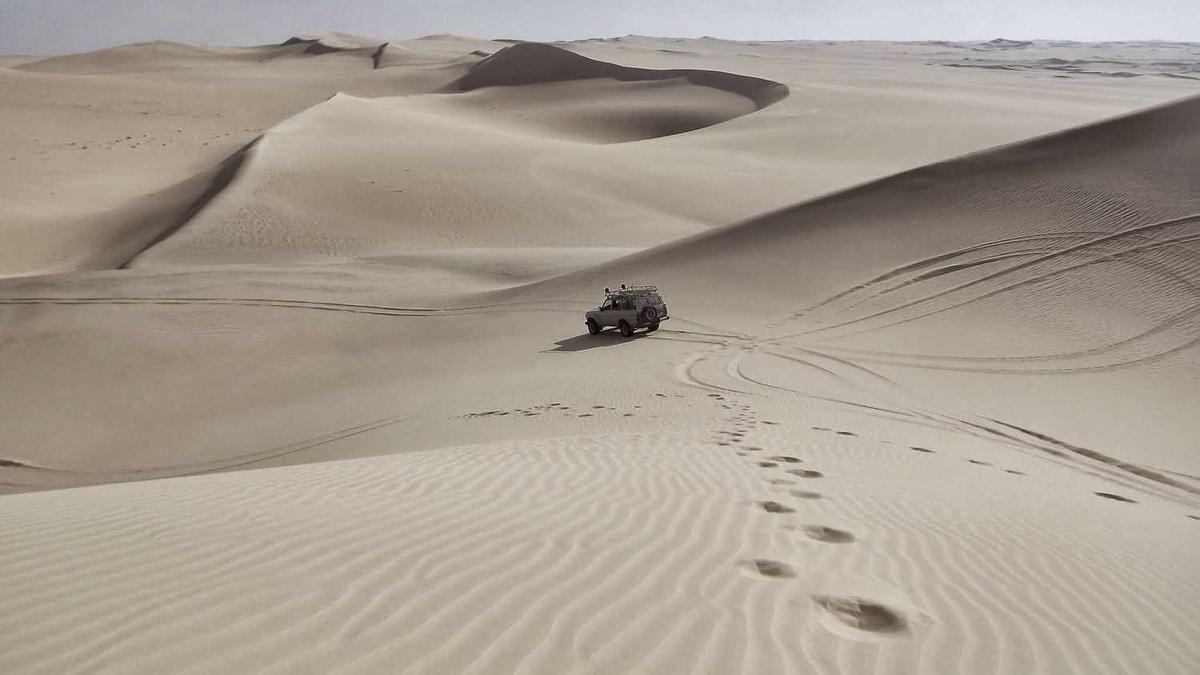 中数汇财骗468元怎么办理 - 南充十余人参与中数汇财诈骗