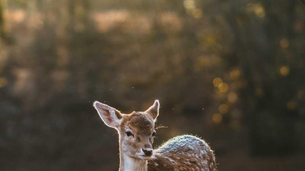 马鞍山经开区全域土地综合整治实施方案 - 马鞍山全域限行