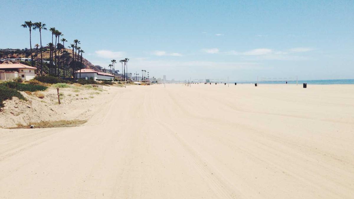 2021年三季煤炭股会上涨吗??? - 日照港第三季度净利降17.2%