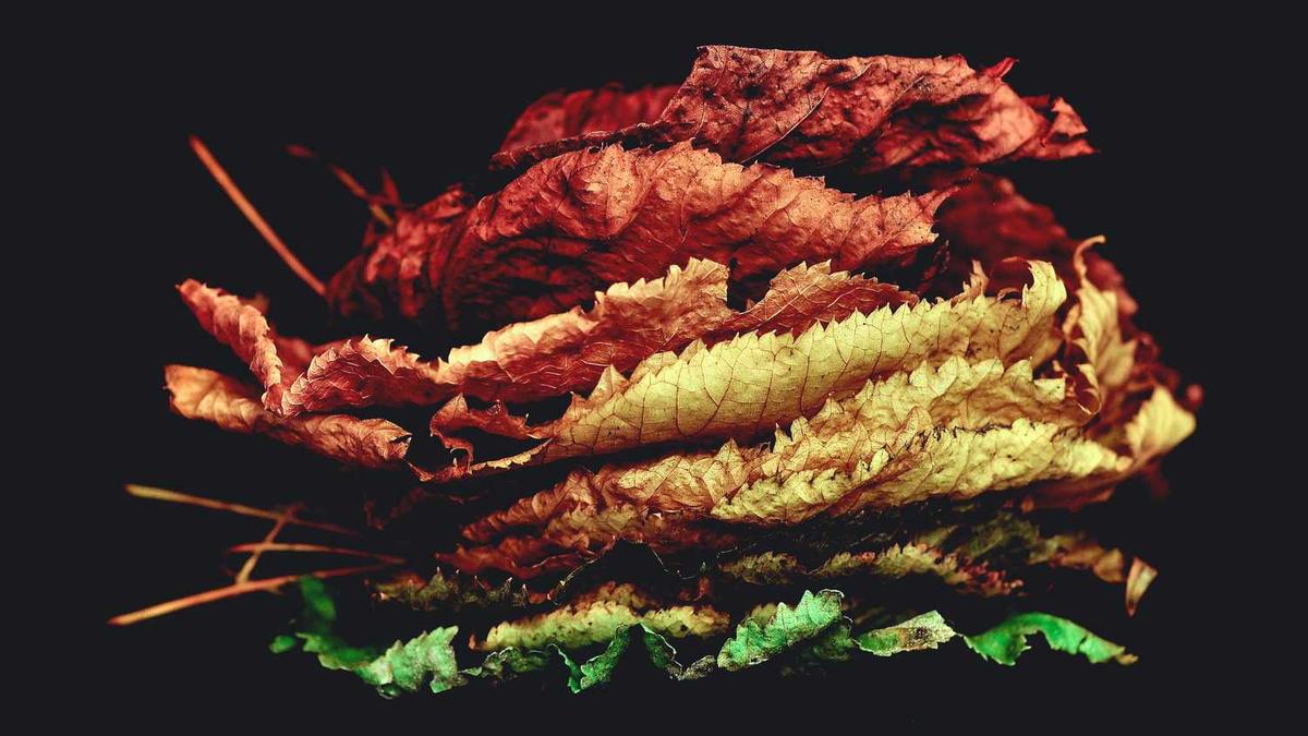 南昌旅游必去景点 - 南昌市旅游必去景点排名