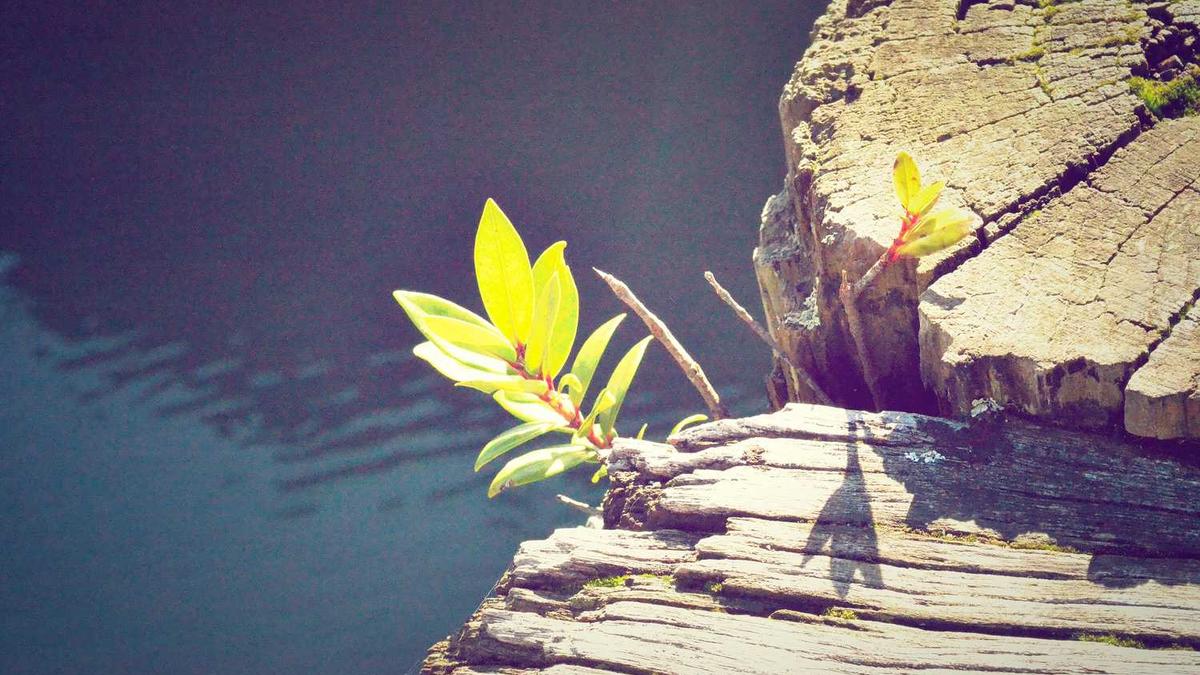 介绍娄底简洁 - 娄底材料谷强势崛起