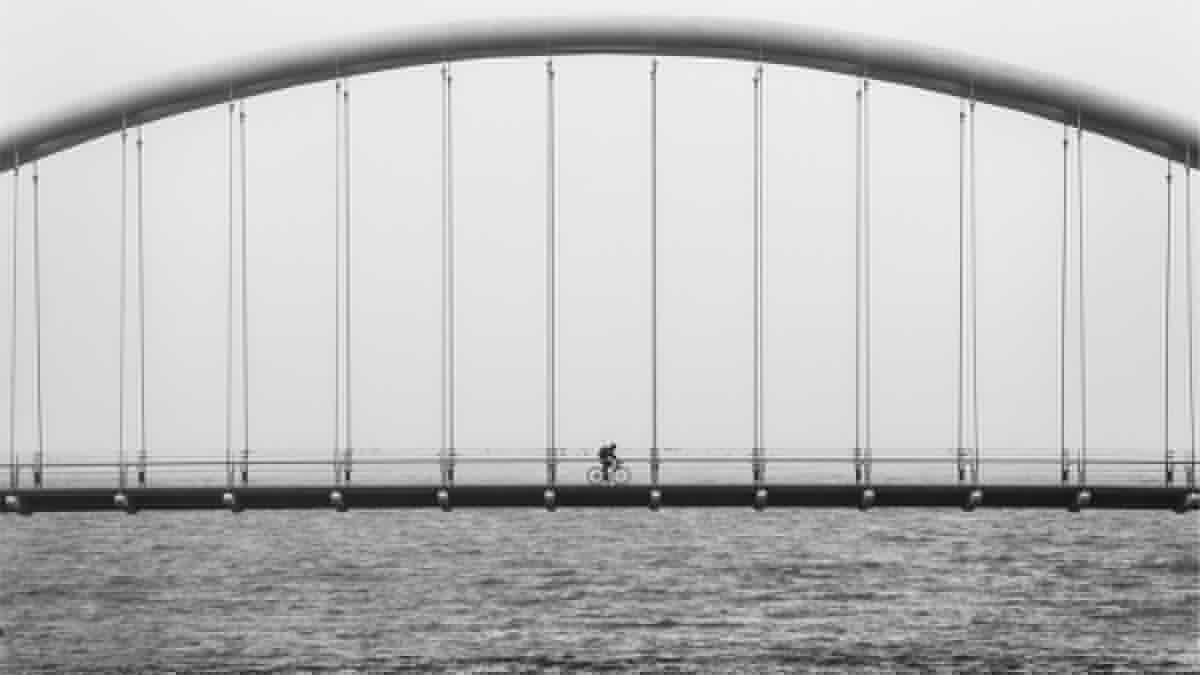 安庆市区一日游必去景点 - 安庆旅游景点