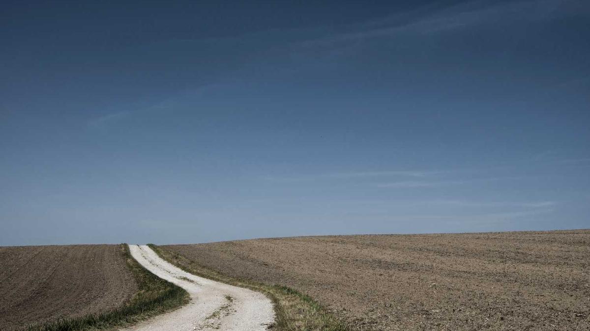 广州海珠湿地公园发现稀有昆虫新物种,暗示了什么? - 丽水九龙湿地公园现两个新物种