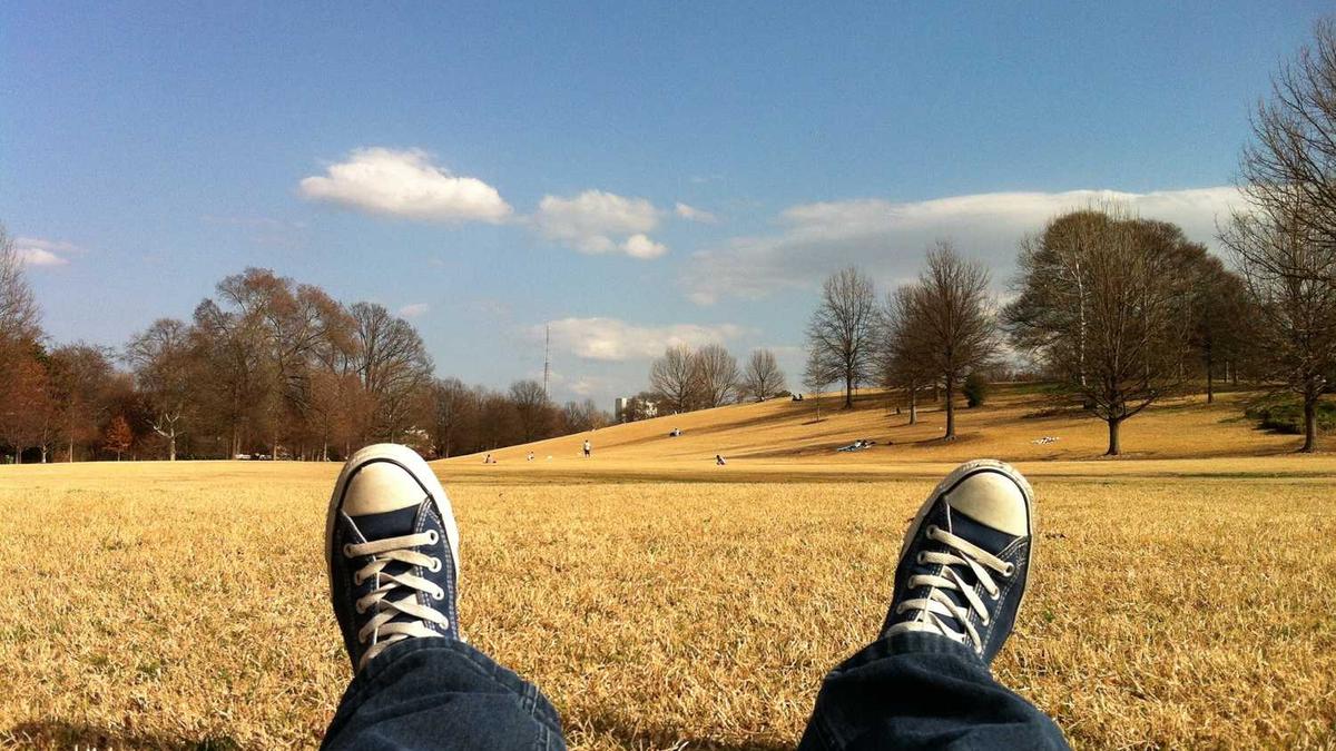 开展养老保险宣传简报 - 朝阳劲松街道创新就业服务