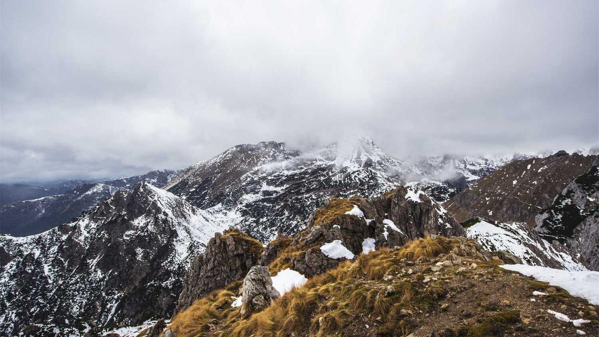 2014广西卫生高级职称评审通过人员名单(综合) - 来宾市人民医院