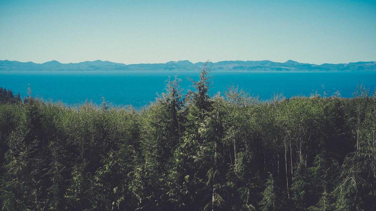 打造党建“共同体”“党建和创”活动共促发展 - 徐州经开区开展联学主题党日