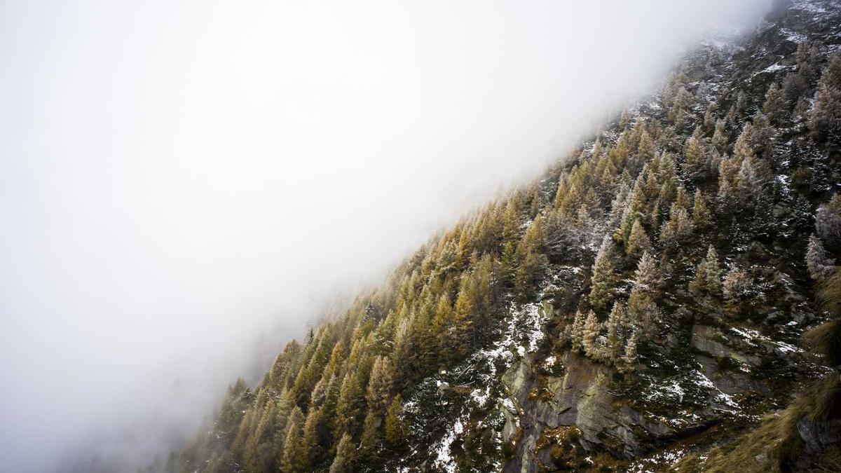邯郸三日游最佳旅游攻略 - 邯郸旅游攻略必玩的景点