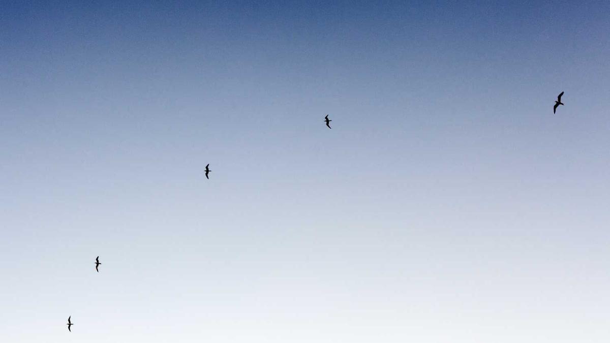 我国大气污染防治成效有哪些 - 驻马店大气污染防治成效显著