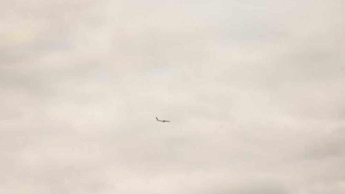 李永林主要职务 - 吕梁市委召开常委会会议