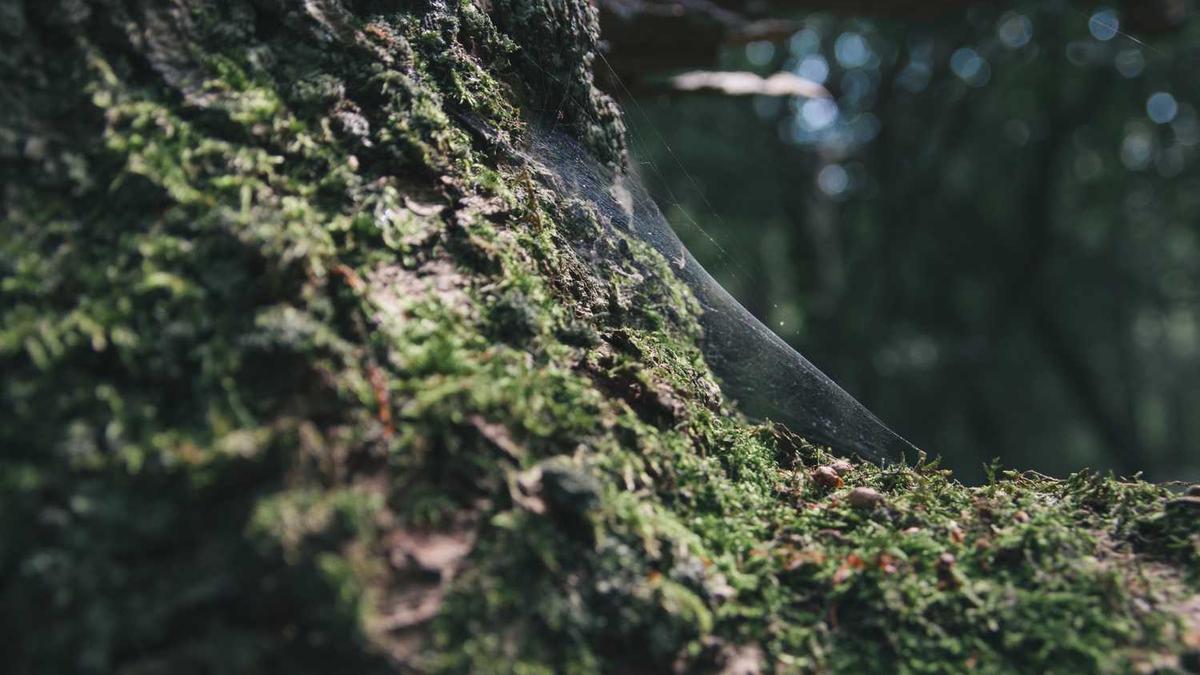 包头市2025养老金能涨多少 - 包头市提高城乡居民基础养老金