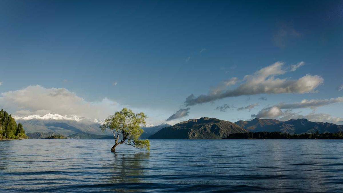 2025年十堰市退伍军人招工信息 - 十堰市郧阳区举办招聘会
