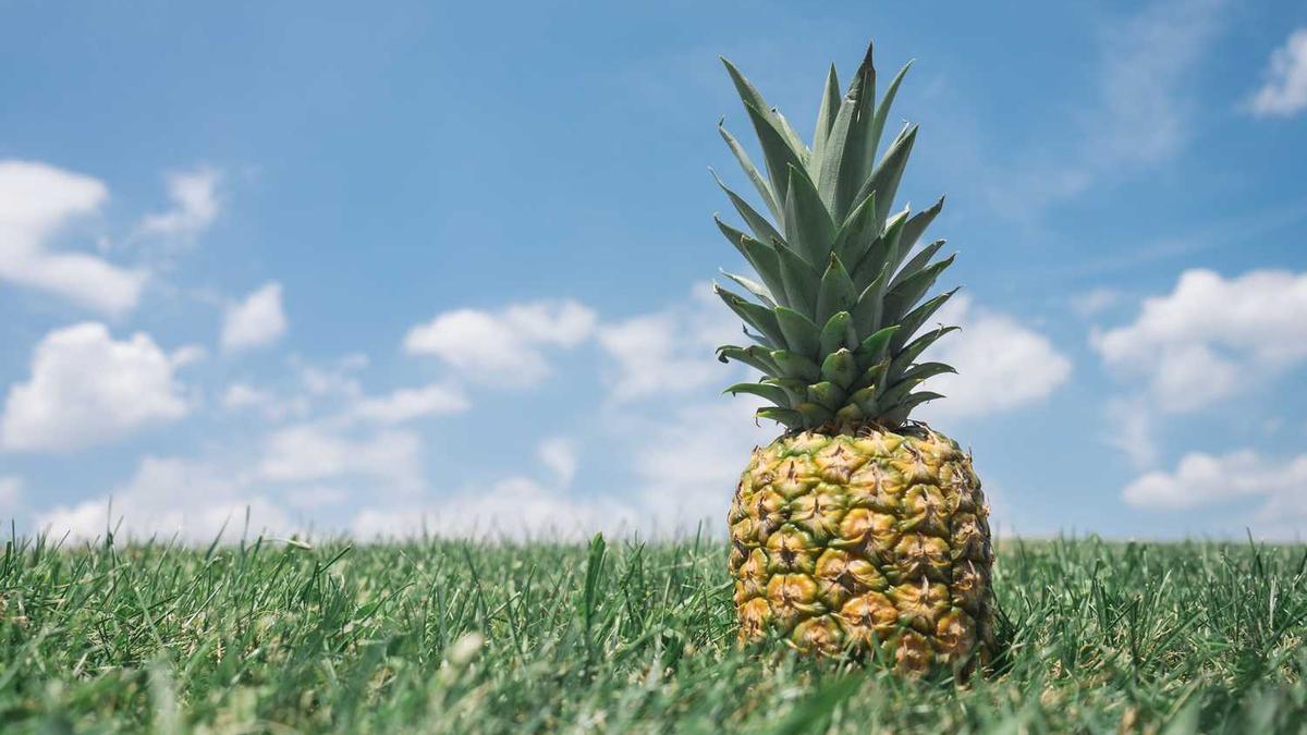 上海建工公司简介 - 上海建工