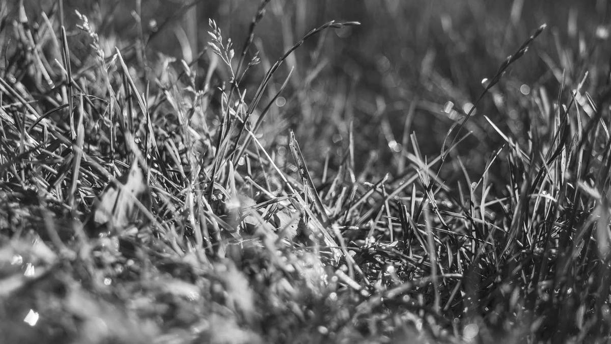 杭州必去三个景点 - 杭州旅游攻略必玩的景点