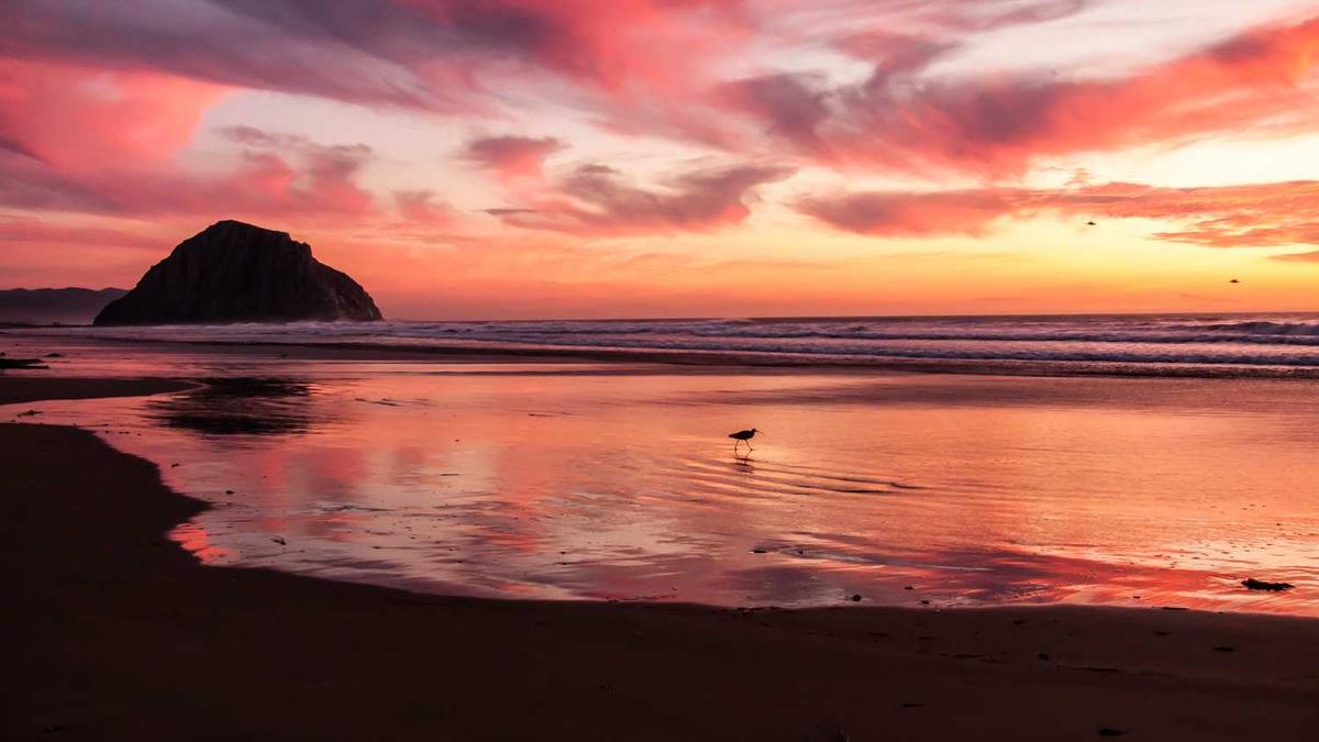 东莞老公出轨了怎么办?东莞夫妻感情不和,三种把婚姻逼入绝境。_百度知... - 东莞辟谣最近离不了婚的传言