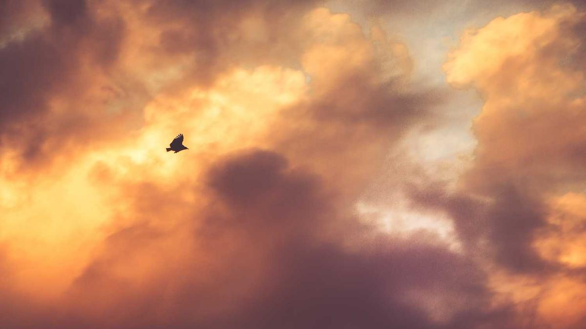 102-104!北京男篮轰然倒下,最后1秒遭绝杀,1大纪录遭终结 - 吉林队1比0战胜北京队