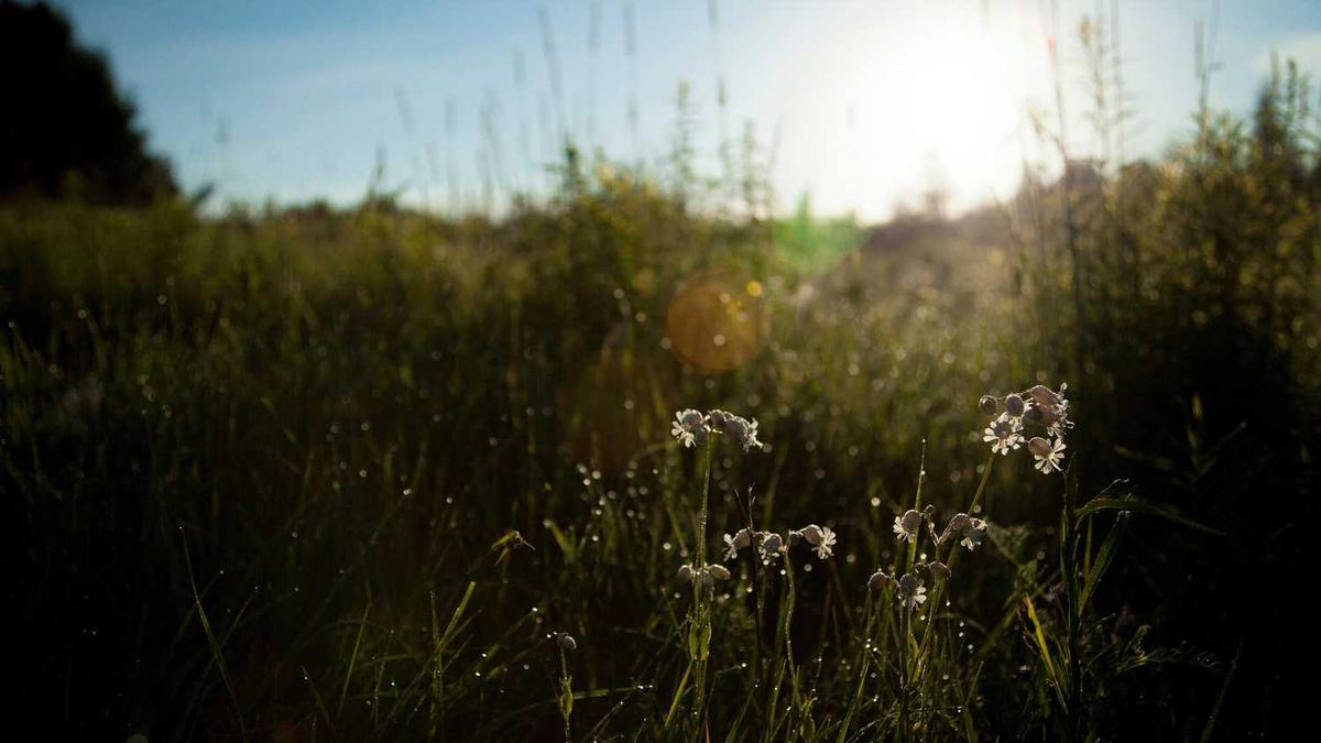 湘潭市三中和市十七中那个好 - 湘潭十七中