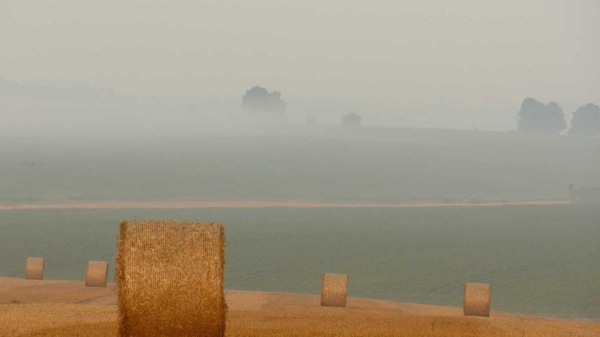安阳五个免费景点 - 安阳旅游景点