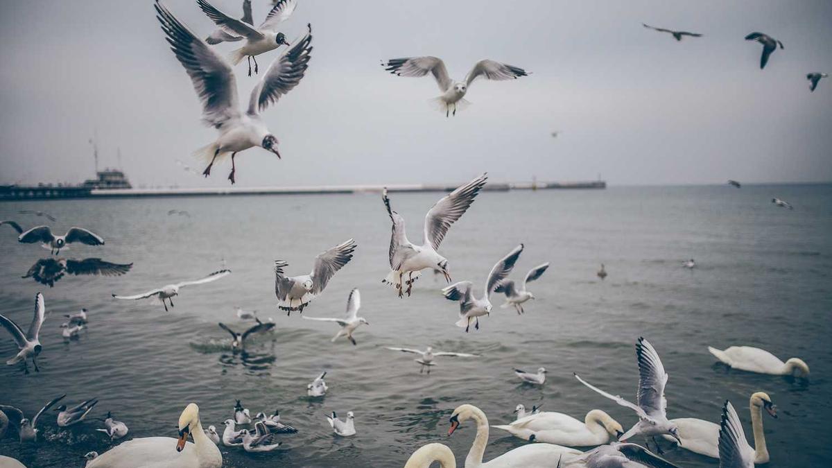 今日播报 襄阳新闻什么时候播放 - 襄阳新闻